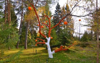 Акварели Осень День Апельсиновое дерево